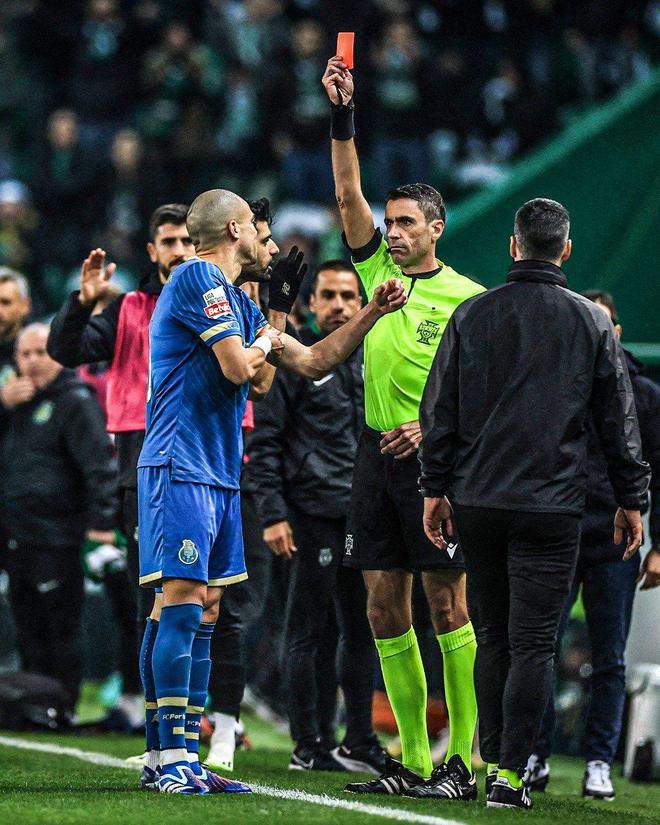 爱游戏娱乐平台 -纵波波形图动画演示