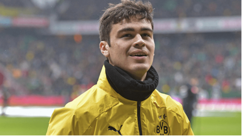 爱游戏娱乐 -2012年纽约尼克斯阵容